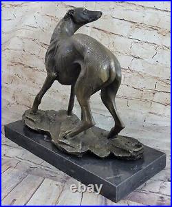 Grand Lévrier Whippet Véritable Bronze Statue Sculpture Art