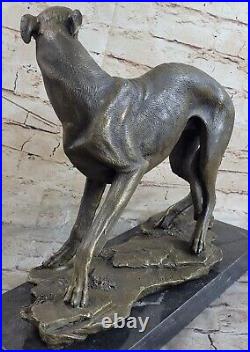 Grand Lévrier Whippet Véritable Bronze Statue Sculpture Art
