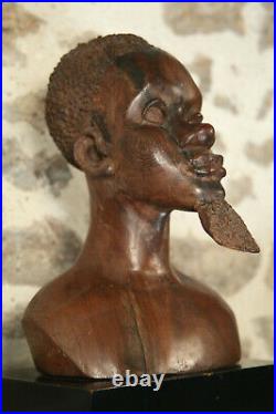 XXe Buste Homme Africain Sculpture Statue Bois d'Ébène Vintage AFRIQUE Tete Art